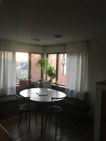$710 / 1br - Sunny Private Room in Downtown (Northampton)64017048422018124