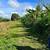 Prime Location Beside Hilltop Hotel! Price Reduce For Quick Sale! 4 thumbnail