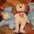 Lot of 6 Beanie Babies 3 thumbnail