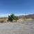 .354 acre lot FOR SALE / 6390 Diana Pl 2 thumbnail