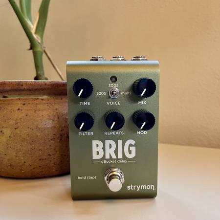 Strymon Brig dBucket Delay Pedal 1