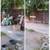 ROJAS CLEAN UP, TRASH AND JUNK & DEMO REMOVAL SERVICES 16 thumbnail