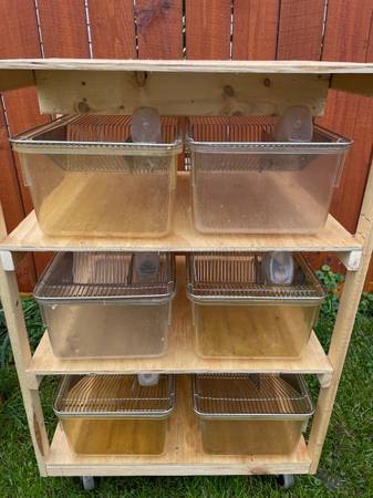 Rodent rack (Dunning)63844234237697120