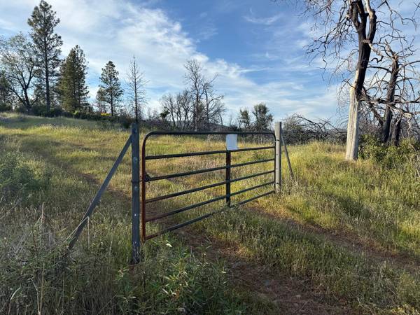 $275,000 / 5246366ft2 - Your Private Retreat with Panoramic Views: 120 Acres! (North San Juan)63952105365635121