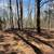 11 Acres Of Land 7 thumbnail