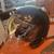 Full face HJC helmet used once 3 thumbnail