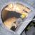 Kittens 2 thumbnail