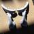 55-57 CHEVY WAGONS, REAR SEAT MOUNT- HINGES, PAIR 2 thumbnail