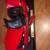 1/18 Scale Maisto Diecast 5 Car Collection 15 thumbnail