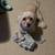 $20.00 / Walk Dog Walking - A walk a day will keep the vet away 2 thumbnail