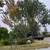 CUTTING EDGE TREE CARE! A cut above the rest... 15 thumbnail
