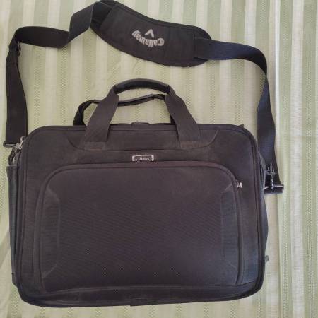 Laptop Computer Bag 1