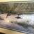 Stephen Lyman’s “Moon Shadows” 5 thumbnail