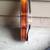 Viola 1 thumbnail
