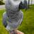 African gray 2 thumbnail