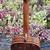 Taylor 716e-ES2 Grand Symphony Acoustic-Electric Guitar Elixir/Case 7 thumbnail