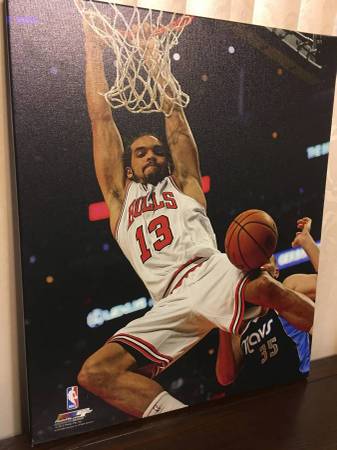 Joakim Noah Picture 1