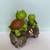 Pair of Adorable Garden Statues – Smiling Mother & Baby Turtles 4 thumbnail