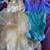Holiday,Clothes, Shoes, Plants, Patches, Toys,Games, Jewelry, 14 thumbnail