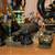 Avon Bottles GALORE {entire collection} 1 thumbnail