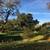 Executive quarter in Golden Hills Estate 16 thumbnail