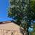 Need a tree trimmer? Low cost tree services 7 thumbnail