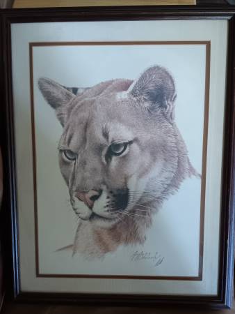 "Western Puma Head" Guy Coheleach 1