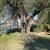 New Reab,Wood Floor-New Full Kitchen-Included Appliances 17 thumbnail