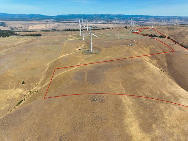 $387,000 92 Vacant Acres - Utilities on Site - Passive Income Potential63831396188929124