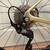 Giant Defy 2 Complete Carbon Road Bike - Medium 4 thumbnail