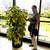 Plant Care Technician for Business Offices Indoors year round 4 thumbnail