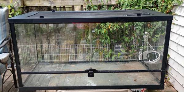 40 gallon breeder tank 1