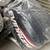 2 Used Outboard Marine Engine Cowls 2 thumbnail