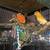 Song birds, canaries, java finch &  gouldians to re-home 10 thumbnail