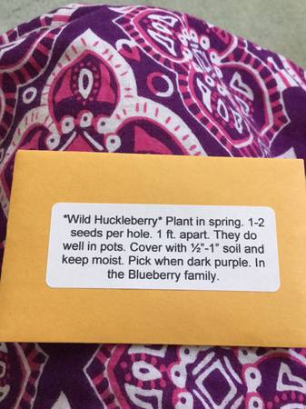 Wild Huckleberry Seeds 1