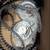 Honda 2.0 Timing belt kit , Water Pump and Thermostat 2 thumbnail