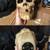 VINTAGE GRIM REAPER SKELETON IN CLOAK 6’ LIGHT UP HALLOWEEN PROP 3 thumbnail