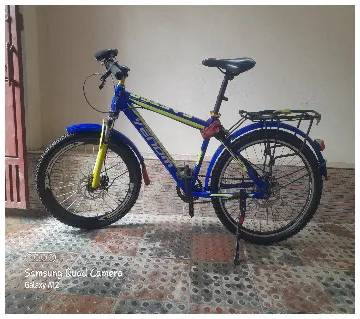 Adult Bicycle – Smooth Ride, Needs New Home 1
