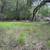 Little Uvas Road 21 acres, owner financing, water and five nice pads! 16 thumbnail