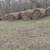 5x5 Round Bales For Sale 2 thumbnail