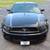 2014 Ford Mustang  V6 Coupe 12 thumbnail