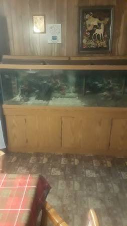 125 aquarium setup 1