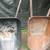 Wheelbarrow 2 thumbnail