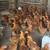 Laying hens 5 thumbnail
