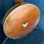 Martin Vega V-76 Bicentennial Banjo (1976) 9 thumbnail