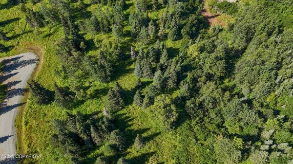 $50,000 - Price Reduction - 1.18 lot in Ninilchik (Ninilchik)64163338222339122