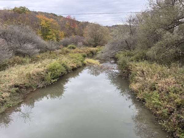 68 acres HUNTING LAND with CREEK in Portville NY
$131,900
                        Portville, NY 68 acres HUNTING LAND with CREEK in Portville NY
$131,900
                        Portville, NY