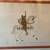 Graphic "Bears Ride" Numbered Signed by Artist Prof Framed Matted 2 thumbnail