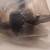 1995-2002 Mazda Millenia Rear Upper Trailing Arm , Suspension Parts 9 thumbnail
