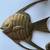 Set of 3 Brass Fish Wall Hangings 2 thumbnail